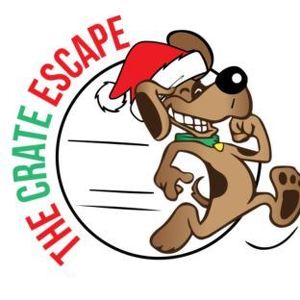 Team Page: The Crate Escape